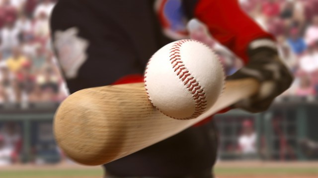 baseball bat